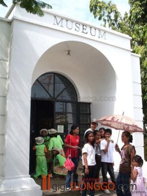 ¡Sumérgete en la Historia y la Naturaleza en el Museo de la Ciudad de Roxas!