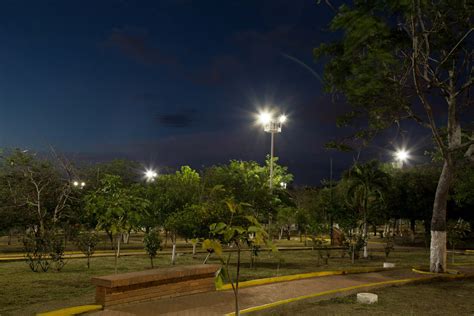  El Parque de la Vida: Un Oasis de Biodiversidad en Bucaramanga ¡Prepárate para un Encuentro con la Naturaleza!