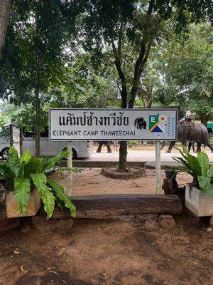 El Santuario de los Tigres ¡Una experiencia inolvidable en Kanchanaburi!